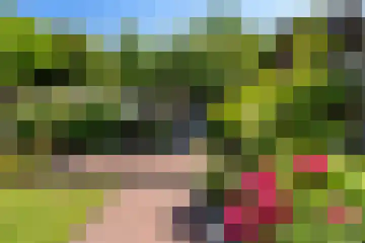 Schepenen 48 Wijk bij Duurstede thumbnail 31