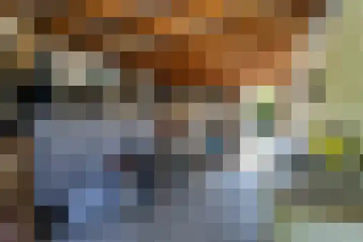 Schepenen 48 Wijk bij Duurstede thumbnail 35