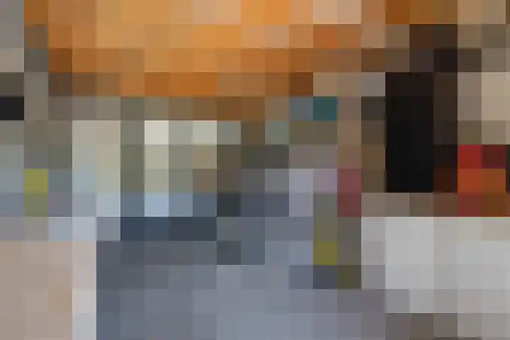 Schepenen 48 Wijk bij Duurstede thumbnail 36