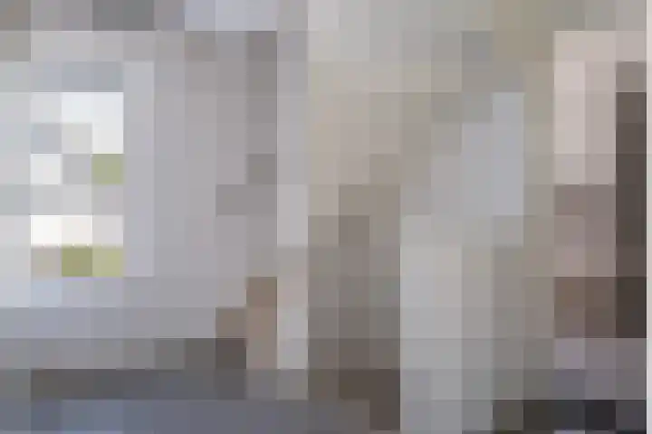 Schepenen 48 Wijk bij Duurstede thumbnail 38