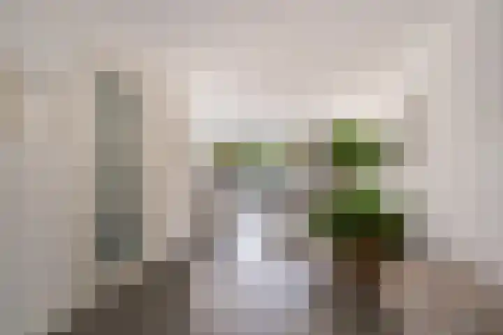 Schepenen 48 Wijk bij Duurstede thumbnail 4