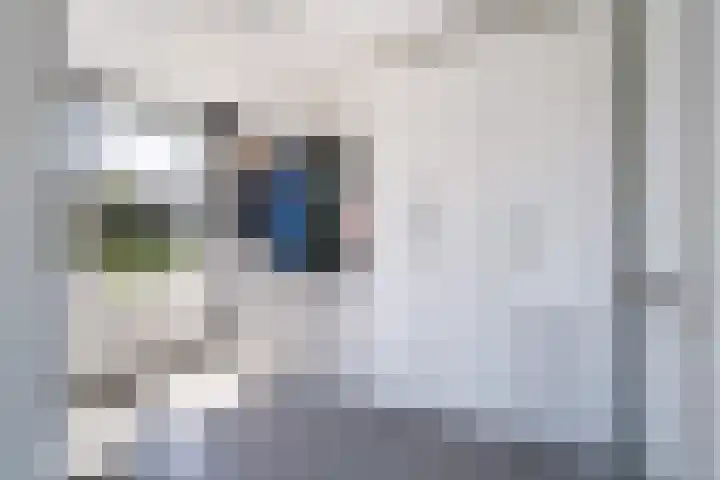 Schepenen 48 Wijk bij Duurstede thumbnail 41