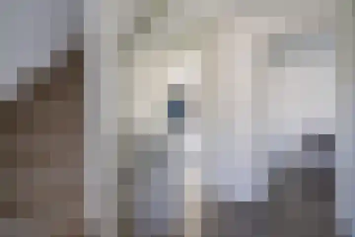 Schepenen 48 Wijk bij Duurstede thumbnail 49