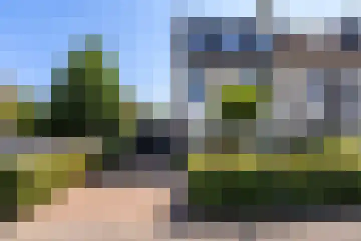 Schepenen 48 Wijk bij Duurstede thumbnail 5