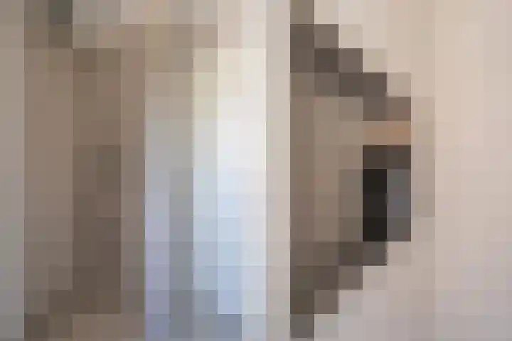 Schepenen 48 Wijk bij Duurstede thumbnail 56