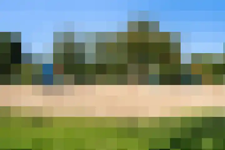 Schepenen 48 Wijk bij Duurstede thumbnail 61