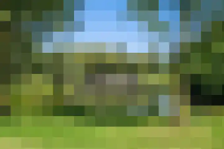 Schepenen 48 Wijk bij Duurstede thumbnail 62