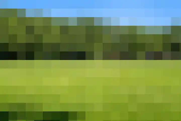 Schepenen 48 Wijk bij Duurstede thumbnail 63