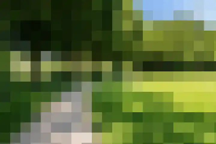 Schepenen 48 Wijk bij Duurstede thumbnail 64