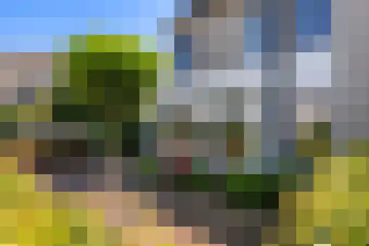 Schepenen 48 Wijk bij Duurstede thumbnail 9