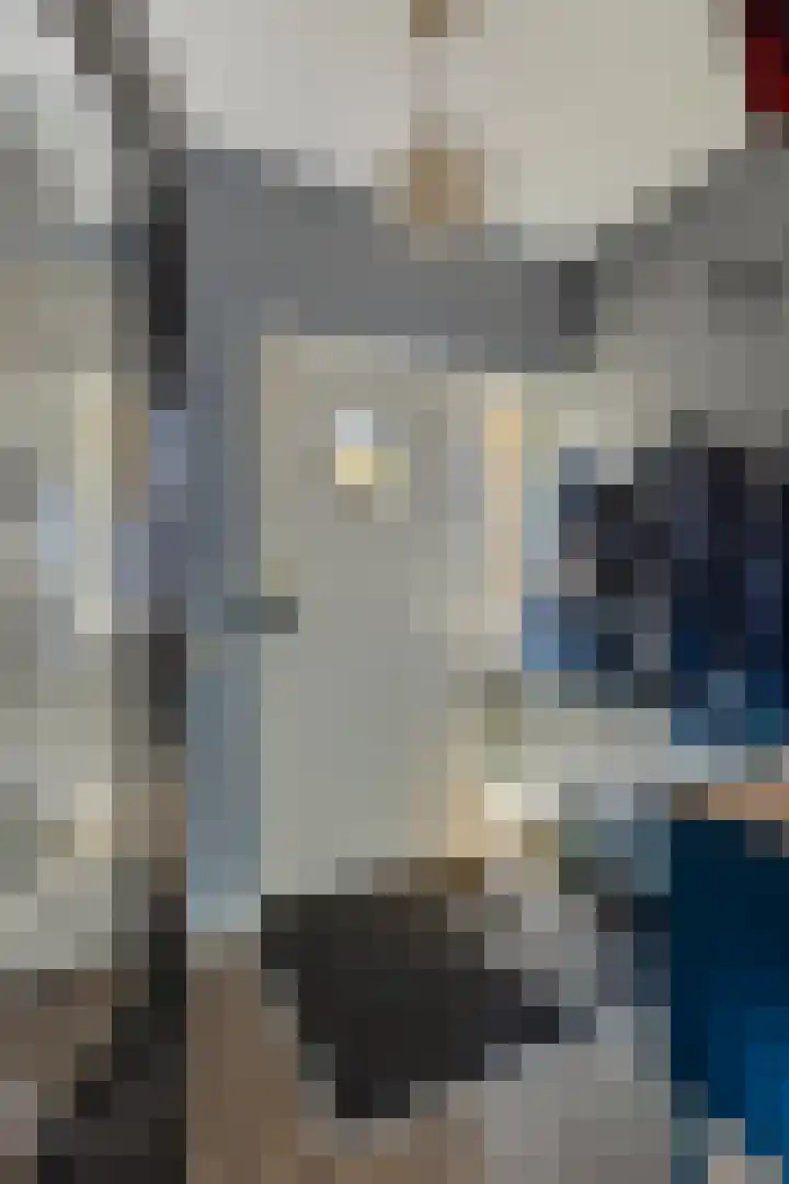 Schepenenstraat 15 Geldrop thumbnail 13