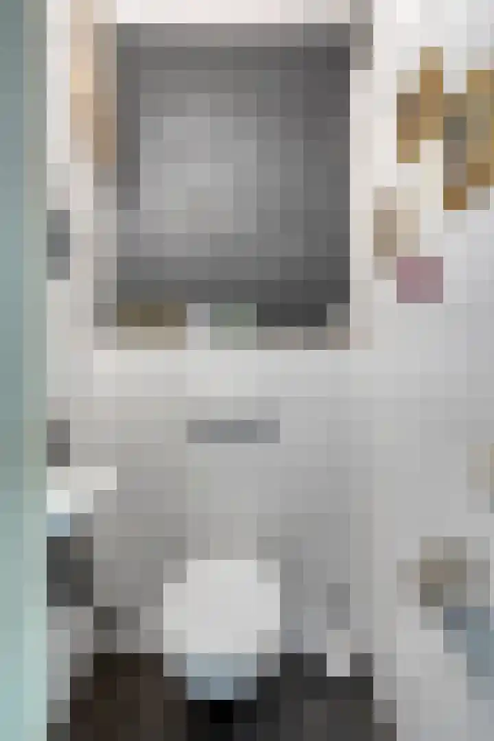 Schepenenstraat 15 Geldrop thumbnail 16