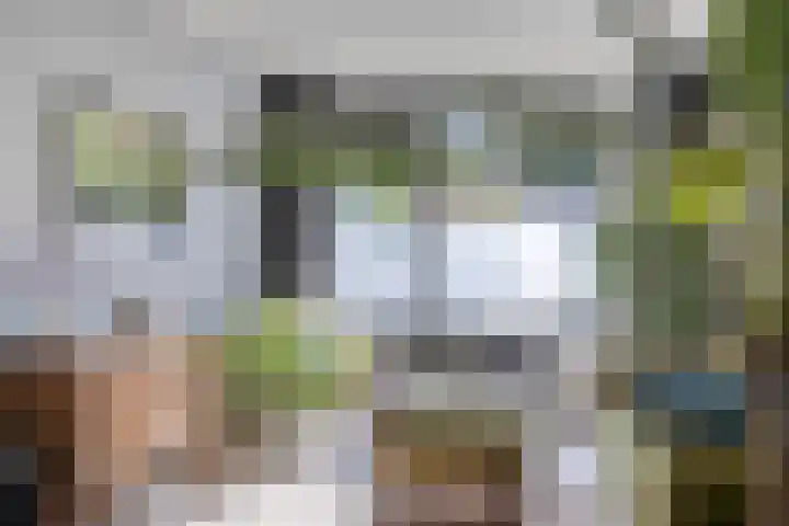 Schepenenstraat 15 Geldrop thumbnail 18