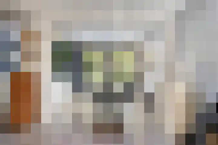Schepenenstraat 15 Geldrop thumbnail 21