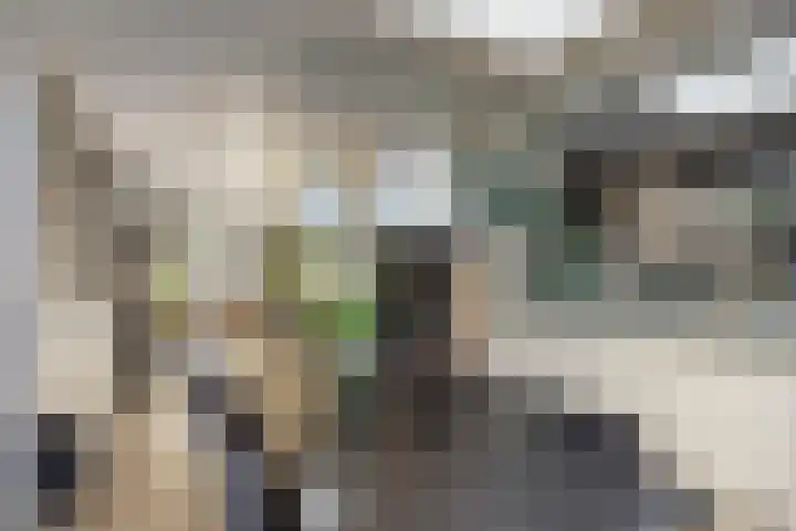 Schepenenstraat 15 Geldrop thumbnail 23
