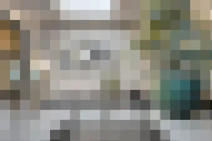 Schepenenstraat 15 Geldrop thumbnail 25