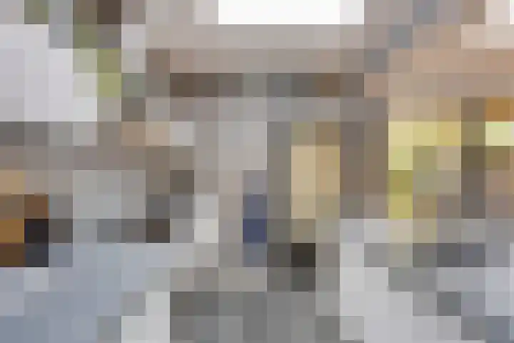 Schepenenstraat 15 Geldrop thumbnail 26