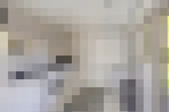 Schepenenstraat 15 Geldrop thumbnail 28