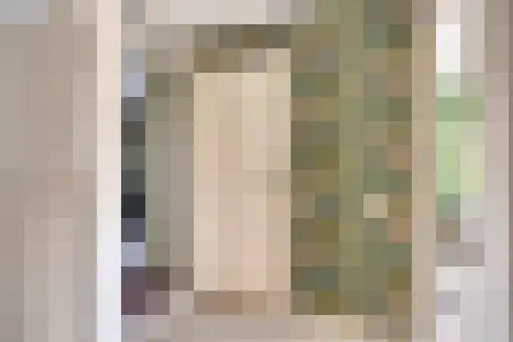 Schepenenstraat 15 Geldrop thumbnail 29