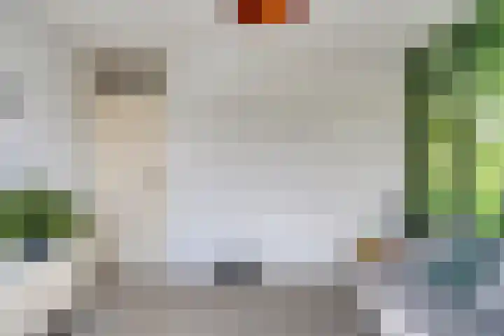 Schepenenstraat 15 Geldrop thumbnail 31