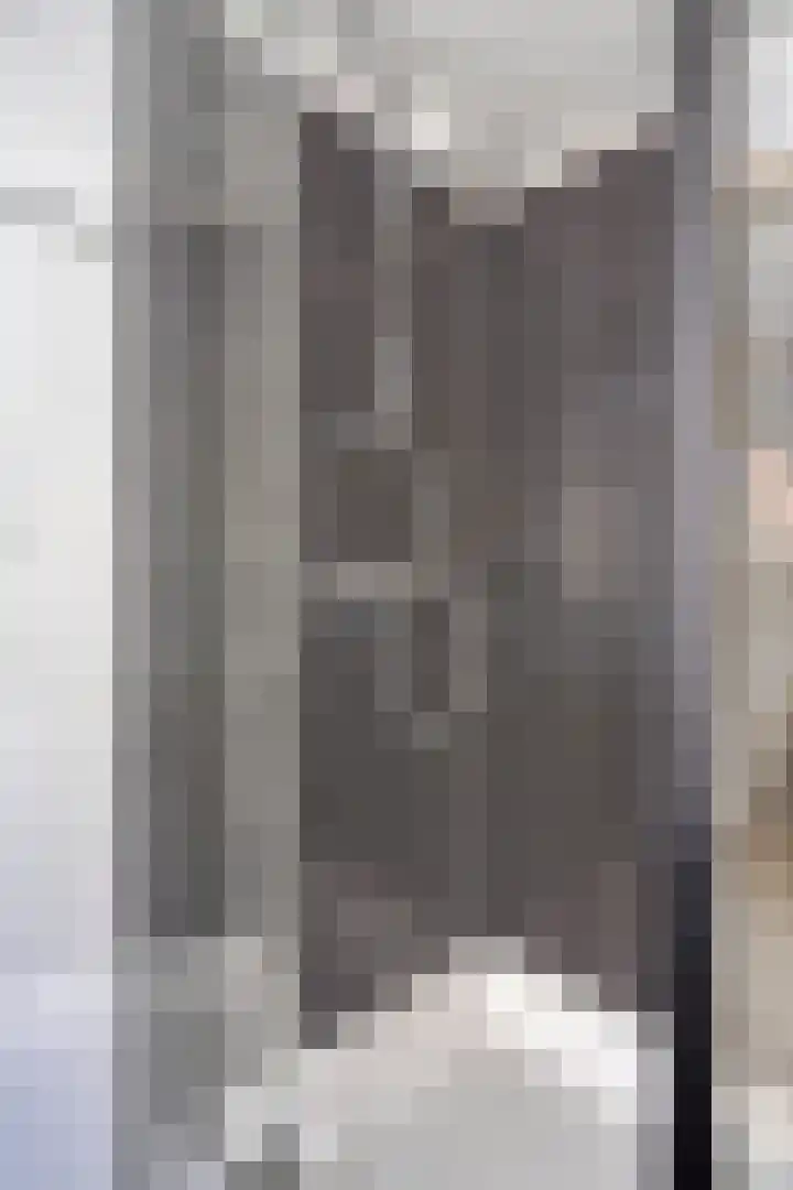Schepenenstraat 15 Geldrop thumbnail 32