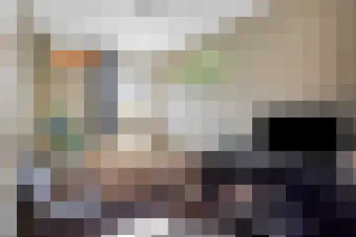 Schepenenstraat 15 Geldrop thumbnail 36