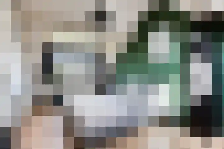 Schepenenstraat 15 Geldrop thumbnail 38