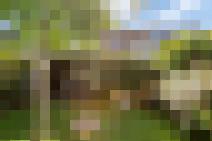 Schepenenstraat 15 Geldrop thumbnail 41