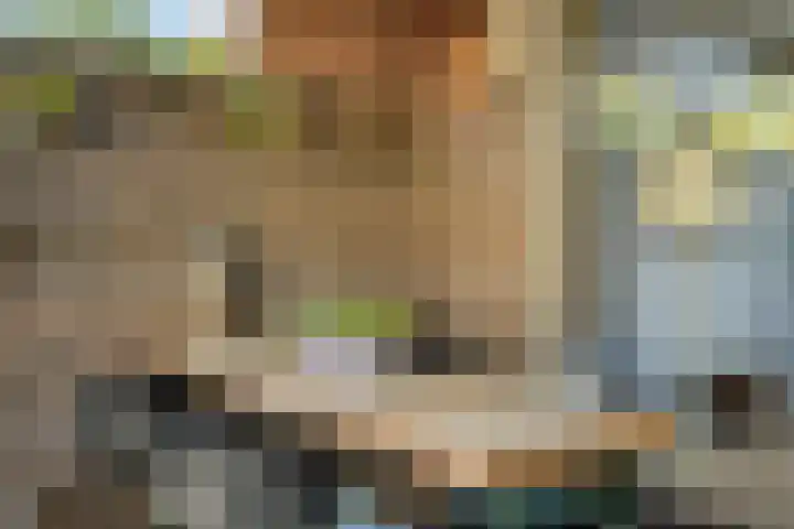 Schepenenstraat 15 Geldrop thumbnail 43