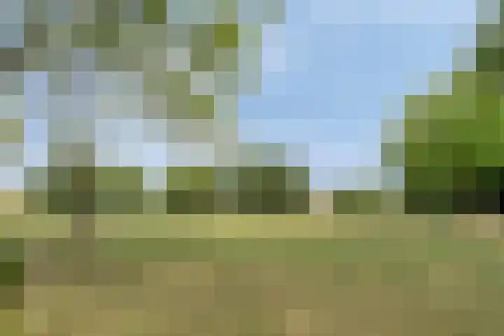 Schepenenstraat 15 Geldrop thumbnail 46