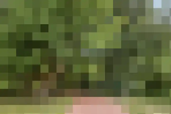 Schepenenstraat 15 Geldrop thumbnail 47