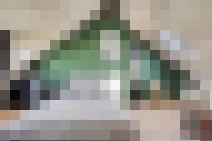 Schepenenstraat 15 Geldrop thumbnail 5