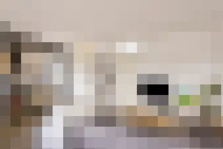 Schepenhoek 109 Uden thumbnail 10