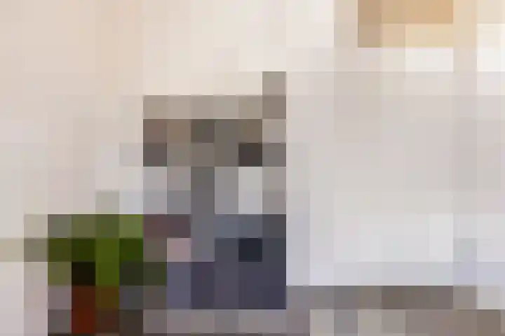 Schepenhoek 109 Uden thumbnail 13
