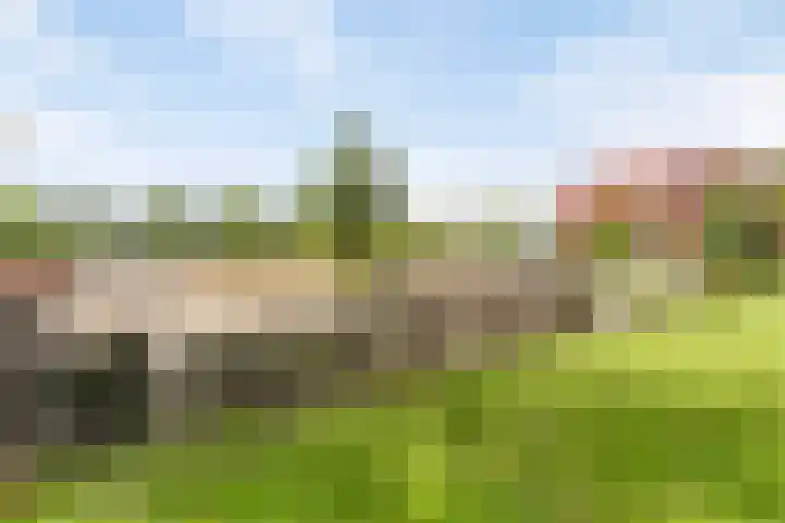 Schepenhoek 109 Uden thumbnail 30