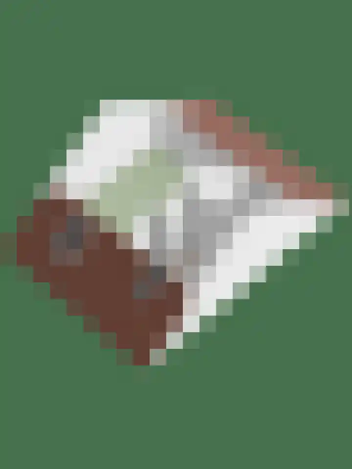 Schepenhoek 109 Uden thumbnail 35