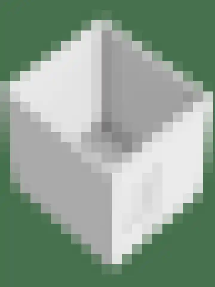 Schepenhoek 109 Uden thumbnail 36