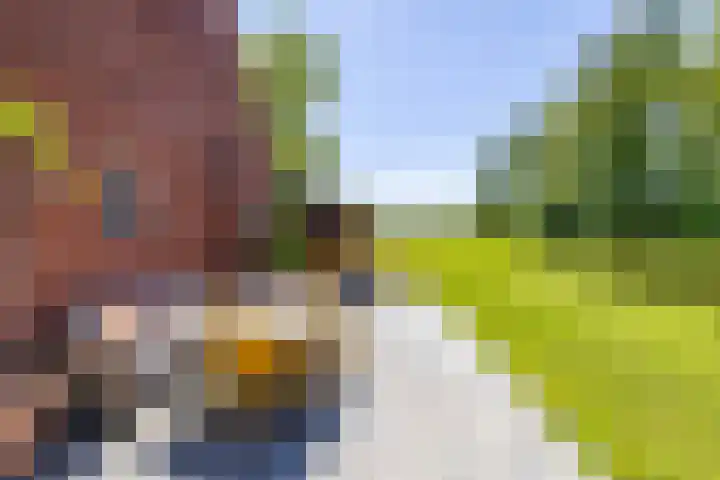 Schepenhoek 109 Uden thumbnail 4