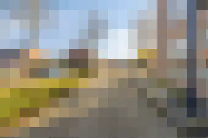 Schepenhoek 145 Uden thumbnail 22