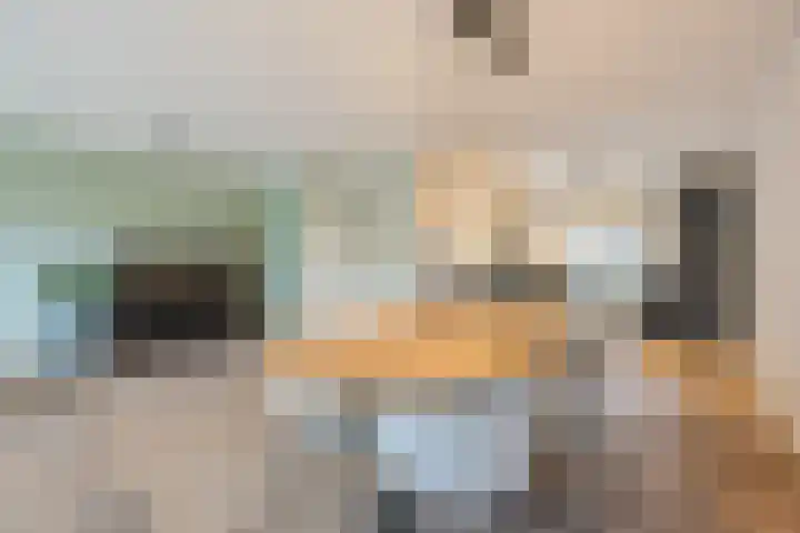 Schepenhoek 213 Uden thumbnail 14