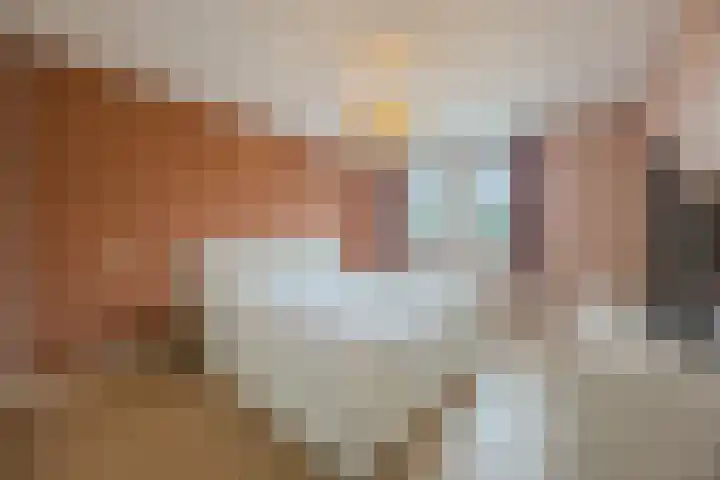 Schepenhoek 213 Uden thumbnail 23