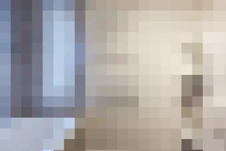 Schepenhoek 213 Uden thumbnail 30