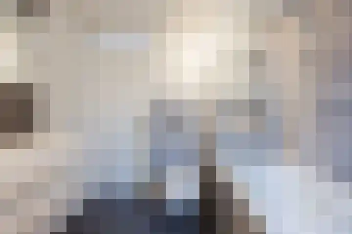 Schepenhoek 213 Uden thumbnail 32