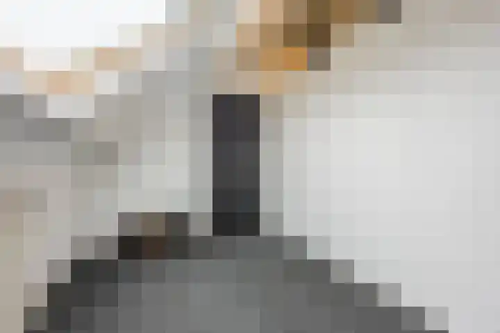 Schepenhoek 213 Uden thumbnail 36