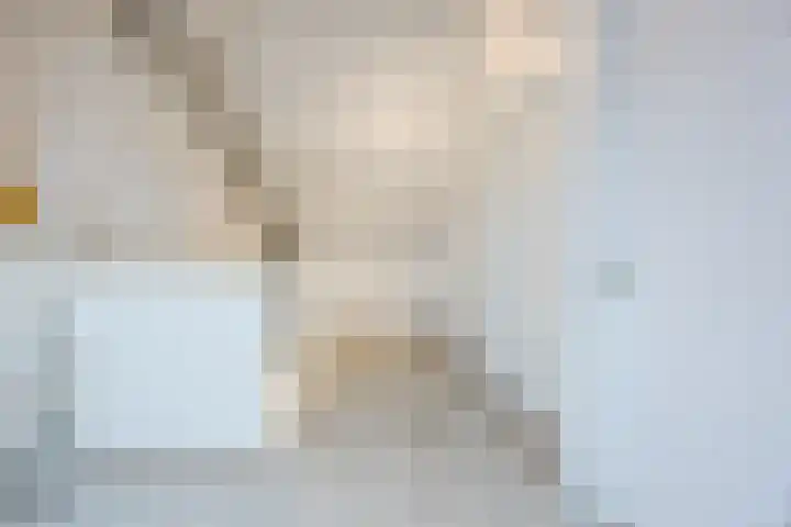 Schepenhoek 213 Uden thumbnail 40