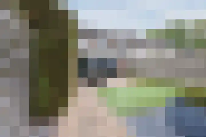 Schepenhoek 213 Uden thumbnail 45