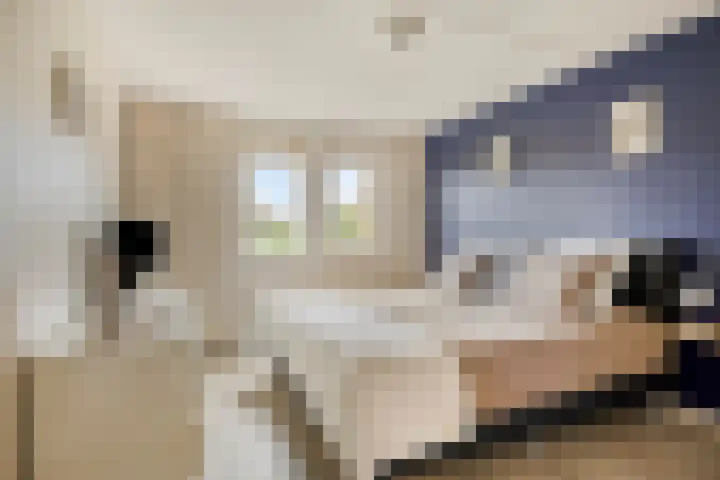 Schepenhoek 215 Uden thumbnail 15