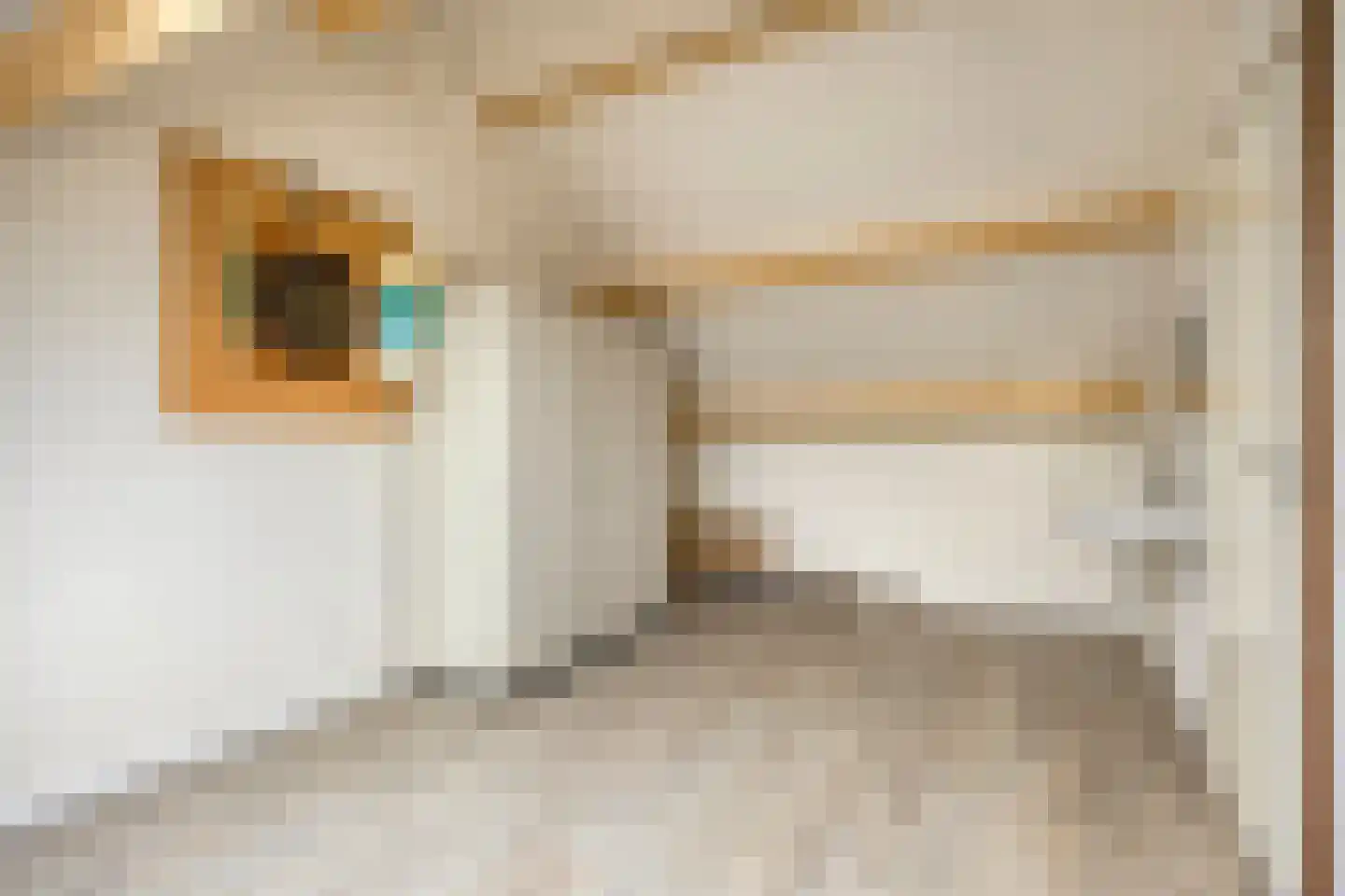 Schepenhoek 215 Uden thumbnail 22