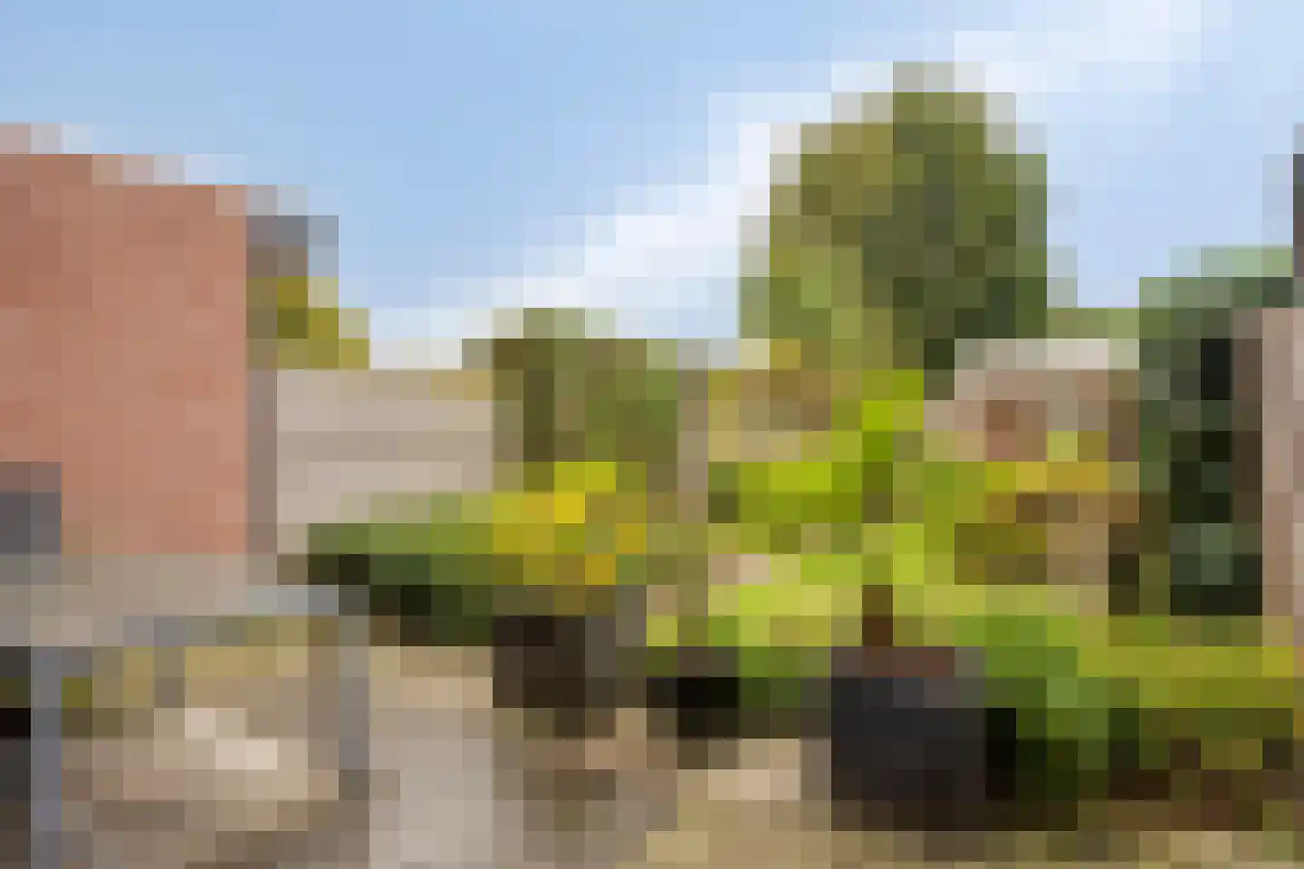 Schepenhoek 215 Uden thumbnail 24