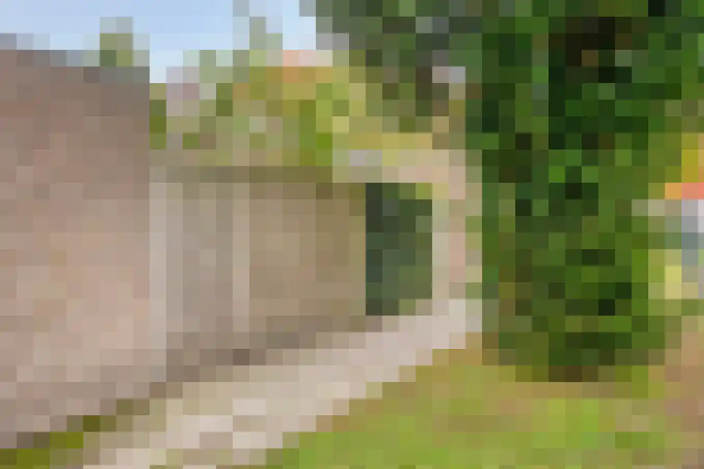 Schepenhoek 215 Uden thumbnail 27